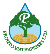 Pronto logo